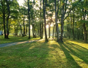 Emplacement pour tente (3)