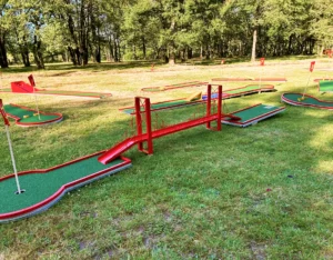 Mini-golf
