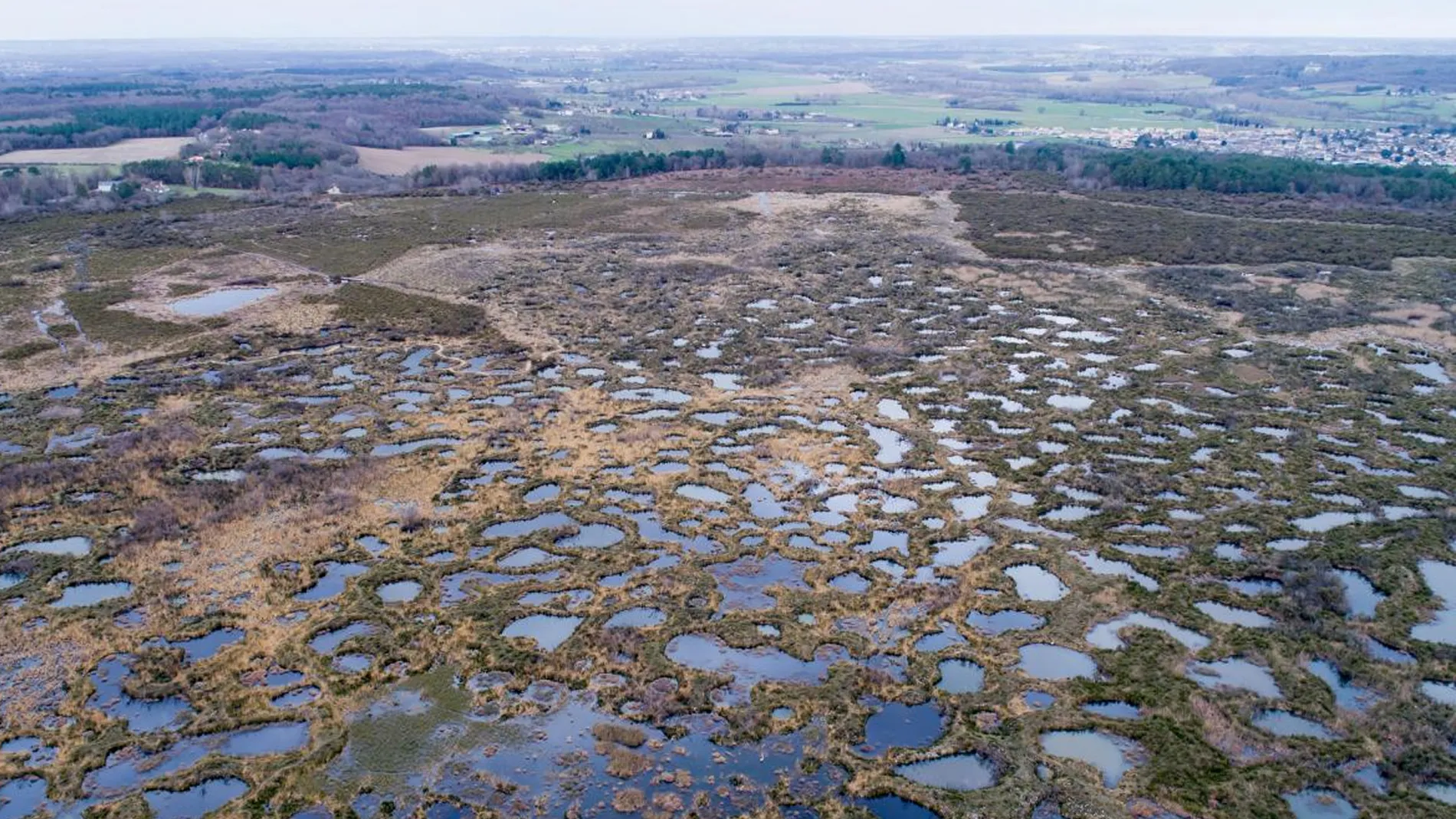 Réserve naturelle du Pinail